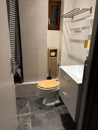 une salle de bain avec toilettes et lavabo dans l'établissement Appartement authentique centre historique, à Colmar