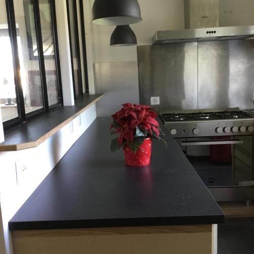 a kitchen counter with a vase with red flowers on it at Côté campagne in Pierrefaites