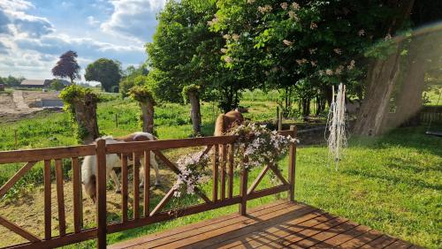 Ein Garten an der Unterkunft Topagergaard