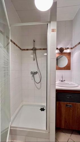 une salle de bain avec douche et lavabo dans l'établissement Nid charmant et confortable, à Paris