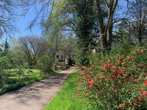 Zahrada ubytování Ferienwohnung in historischer Mühle