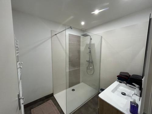 a bathroom with a shower and a sink at Appartement 4 personnes joliment rénové proche du Centre-ville in Épinal
