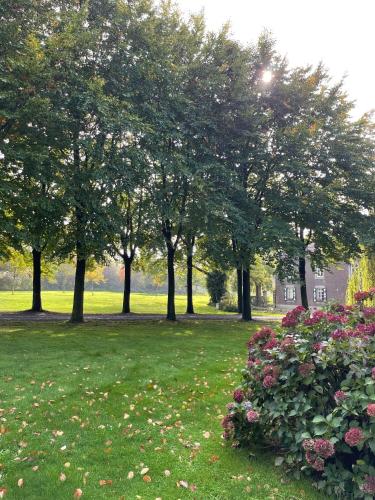 a group of trees in a park with flowers at Hoeve Berghof in Heerlen