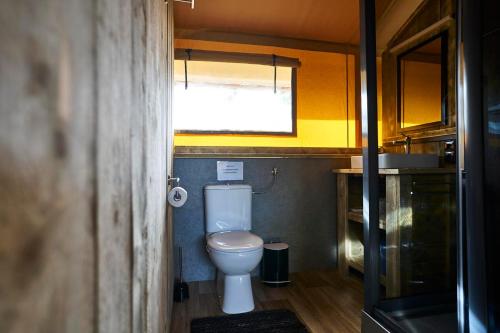 a small bathroom with a toilet and a window at AlbCamping Westerheim in Westerheim