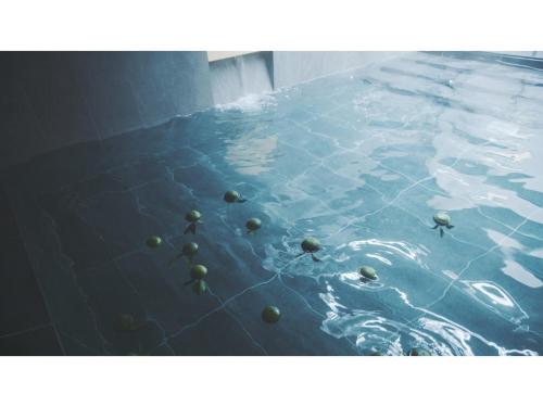 a group of balls floating in a pool of water at SOKI ATAMI - Vacation STAY 93402v in Atami
