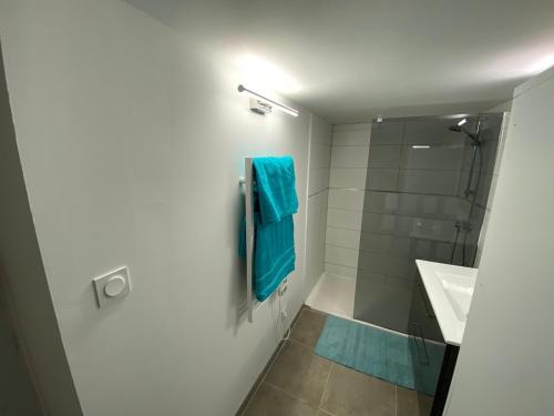 La salle de bains est pourvue d'une douche et d'une serviette bleue. dans l'établissement Superbe Appartement climatisé avec Patio, à Montpellier