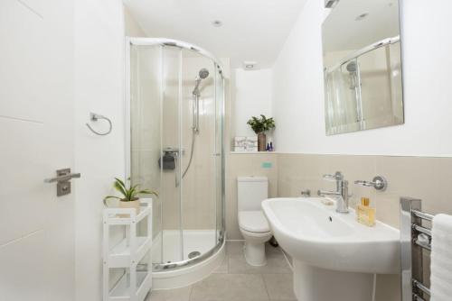 a bathroom with a shower and a sink and a toilet at 55 Una in Carbis Bay