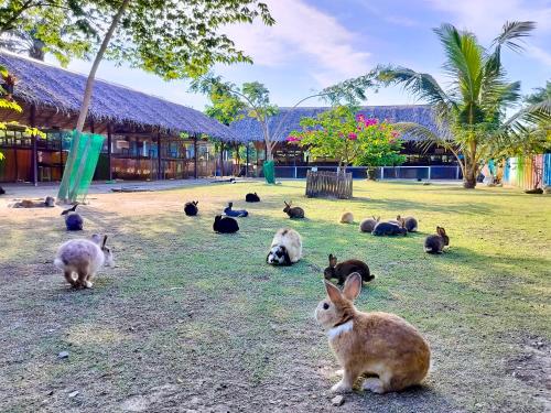 Binatang di resort atau berdekatan