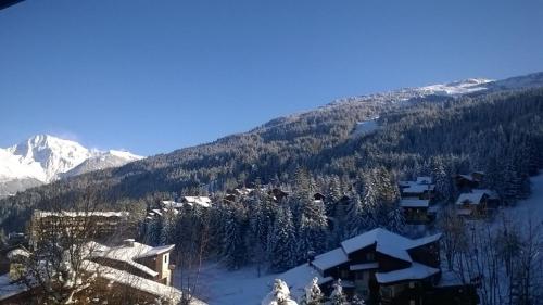 a ski resort with snow covered trees and a mountain at Cosy at L'Atrey La Tania in Courchevel