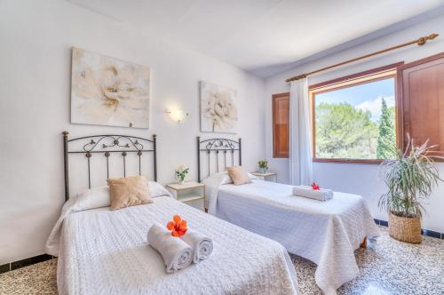 Ideal Property Mallorca - Tacaritx