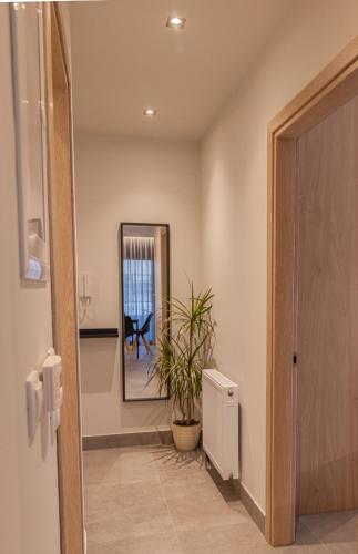 a hallway with a door and a mirror and a plant at Aeson Premium Living in Volos