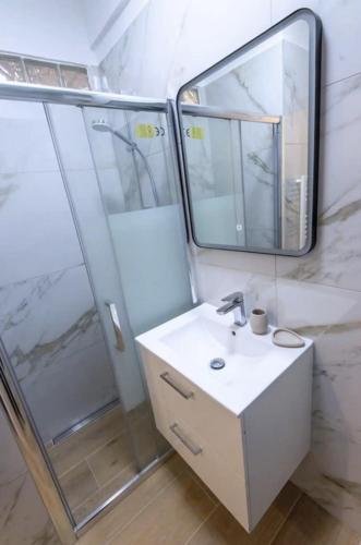 une salle de bain avec un lavabo et une douche avec un miroir dans l'établissement Charmant studio rue Hérold - Wifi, AC, 2pers, à Nice