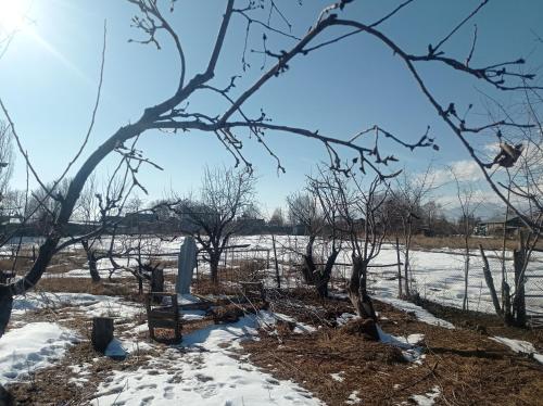 um campo coberto de neve com árvores e um banco em Гостевой дом em Sazanovskoye