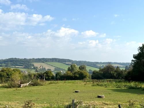 un champ d'herbe verte avec des arbres en arrière-plan dans l'établissement Le Cottage de la Poussinière - Vue panoramique 6p, à Saint-Évroult-de-Montfort