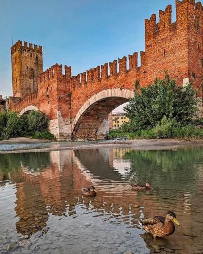 two ducks in the water in front of a castle at Catullo Loft Near Verona in Dossobuono