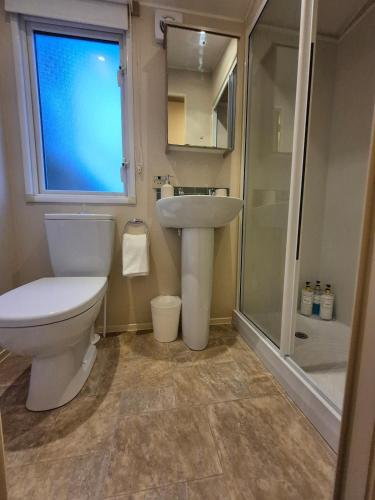 a bathroom with a toilet and a sink and a shower at Sapphire in Saint Leonards