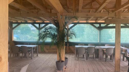 a room with tables and chairs and a potted plant at Timona in Dunavăţu de Jos