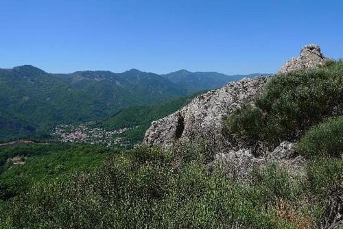 a view of a mountain with bushes and trees at HOTEL LES MARRONNIERS in Thueyts