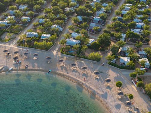 Terra Park Phalaris Pitches