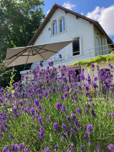 un champ de fleurs violettes devant une maison dans l'établissement LA CHERIELLE, à Auvers-sur-Oise