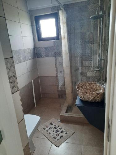 a bathroom with a shower with a sink and a toilet at Timona in Dunavăţu de Jos