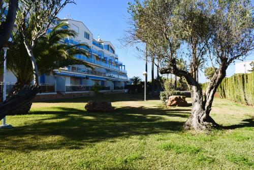 Estudio con Piscina a 80 metros de la Playa Les Deveses - Denia