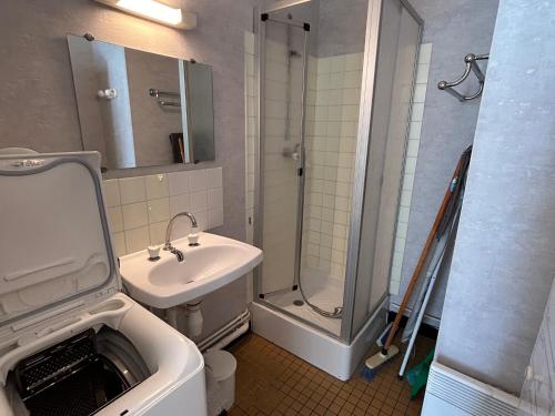 une salle de bain avec un lavabo et une douche dans l'établissement Studio lumineux au centre-ville avec balcon - FR-1-541-133, à La Roche-Posay