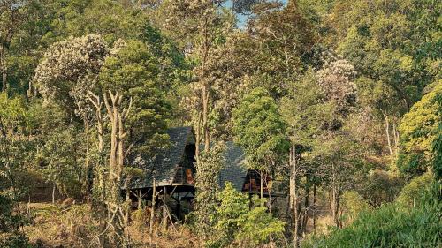 a house in the middle of a forest of trees at Forestscape Resort Munnar in Munnar
