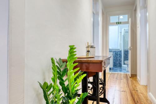 ein Flur mit einem Holztisch und einer Pflanze in der Unterkunft Casa do Pinheiro I, a Home in Madeira in São Vicente