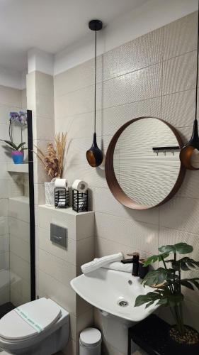 a bathroom with a sink and a mirror and a toilet at Diamond View Apartments in Mamaia
