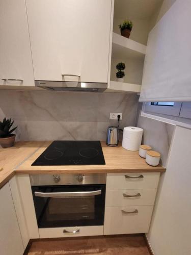 2 bd renovated flat at acropolis