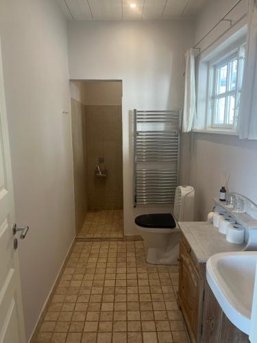 a bathroom with a toilet and a sink at Rødvig Kro og Badehotel in Rødvig