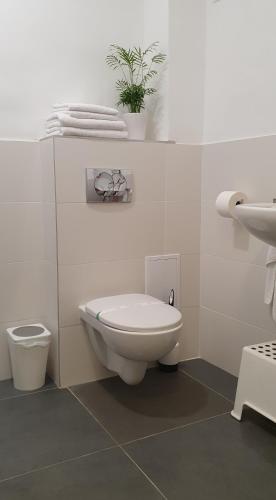 a white bathroom with a toilet and a sink at Orchidea Apartman in Gödöllő