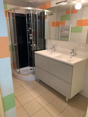une salle de bain avec une douche, un lavabo et un miroir dans l'établissement Apparemment calme au cœur de la nature, à Longemaison