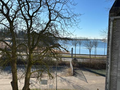 a view of a body of water with a tree at Penthouse Kapitänsbrücke in Kappeln