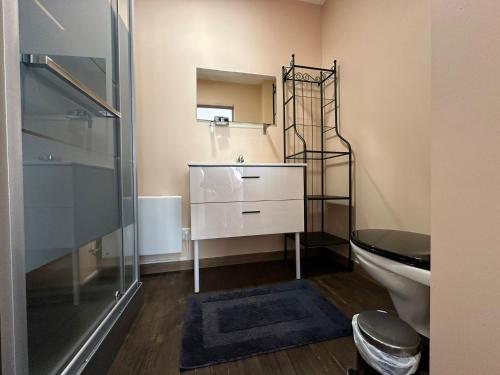 a bathroom with a toilet and a sink and a shower at Appart O'key in Lure