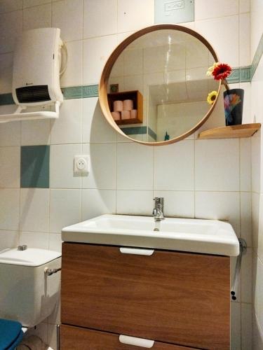 une salle de bain avec un lavabo et un miroir et des toilettes dans l'établissement Appartement cosy au cœur du village historique, à Saint-Jean-Pied-de-Port