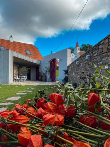 a pile of red flowers sitting in a yard at Penzion U Kapličky in Znojmo