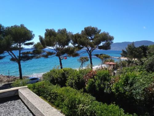 - une vue sur la plage avec des arbres et l'océan dans l'établissement Bel appartement 4 pers plage de Gigaro 114, à La Croix-Valmer