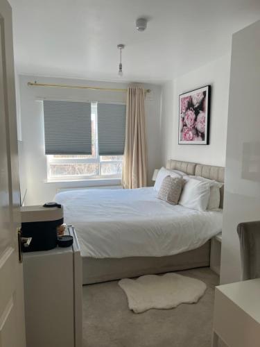 a bedroom with a large bed and a window at STARS LUXURY HOME in London