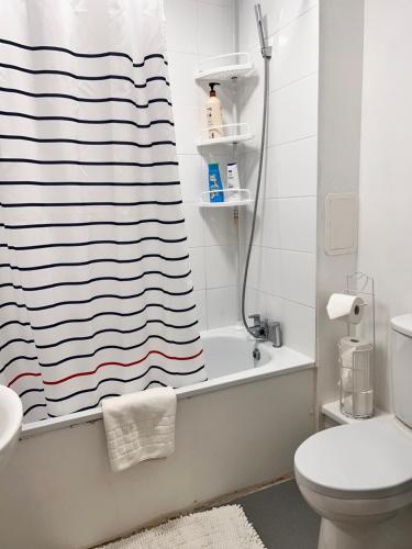 a bathroom with a shower curtain and a toilet at STARS LUXURY HOME in London