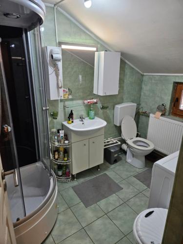a bathroom with a sink and a toilet and a shower at Undeva la Mosie in Podu Dîmboviţei