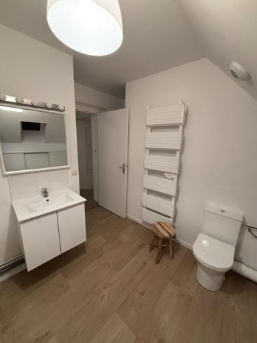 une salle de bain avec toilettes et lavabo dans l'établissement ღ L'AlterEgo - Hyper Centre, Parking Privé & Wifi, à Douai