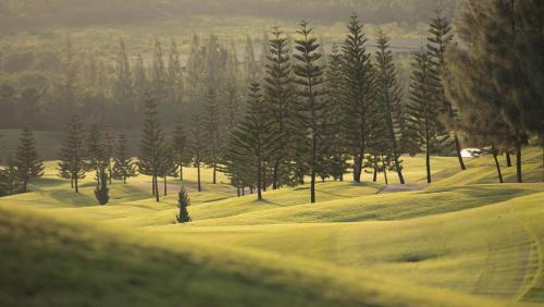a group of pine trees on a golf course at Toscana Town Square Suites in Mu Si