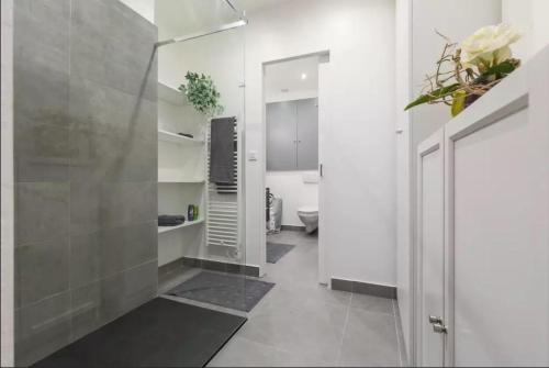 La salle de bains est pourvue d'une douche à l'italienne et de toilettes. dans l'établissement Authentique 2 pièce dans le Vieux-Nice, à Nice