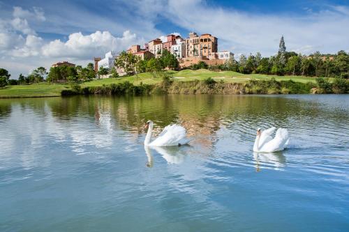 three swans swimming in a lake in front of a castle at Toscana Town Square Suites in Mu Si