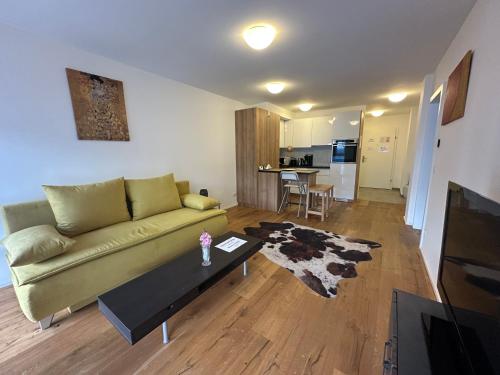 Beauty Apartment Erlachgasse