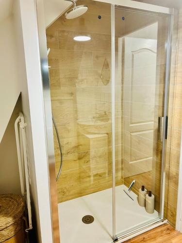 une douche avec une porte vitrée dans une salle de bain dans l'établissement Le Carnot Perche, à Le Portel