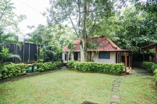 a house with a tree in the yard at Kampung 168 in Jimbaran