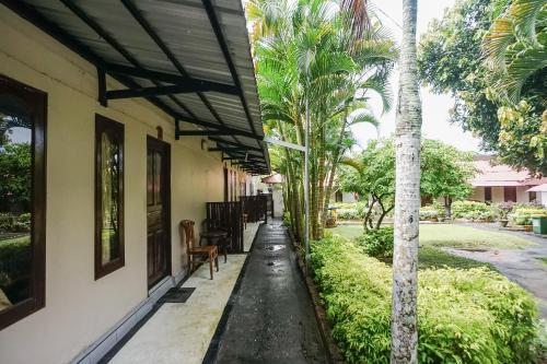 a porch of a house with a palm tree at Kampung 168 in Jimbaran
